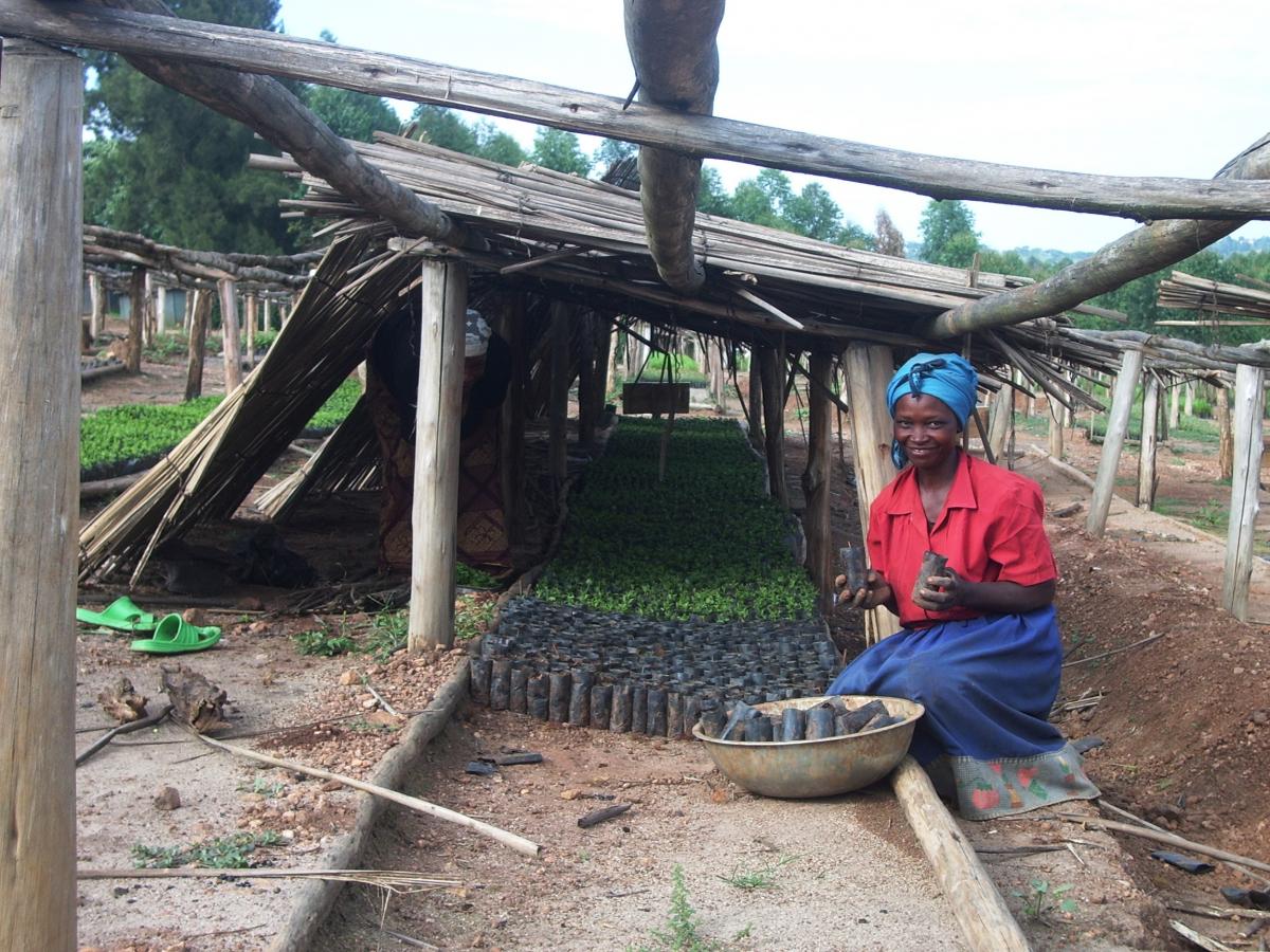 Nursury in Mbarara, Uganda